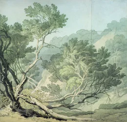 View Near Fordlands, Exeter